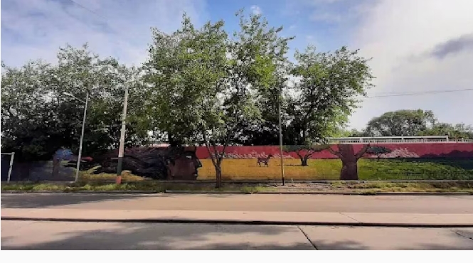 La Dirección General de Escuelas está investigando el caso. (Foto: Google Maps.)