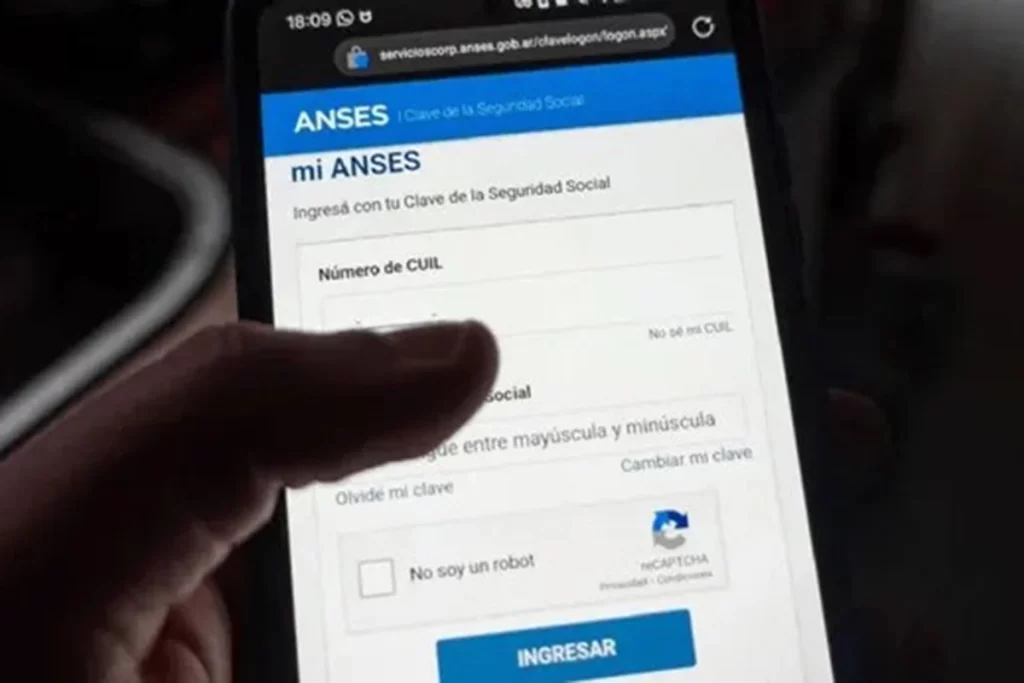 Anses. Foto: Imagen ilustrativa.