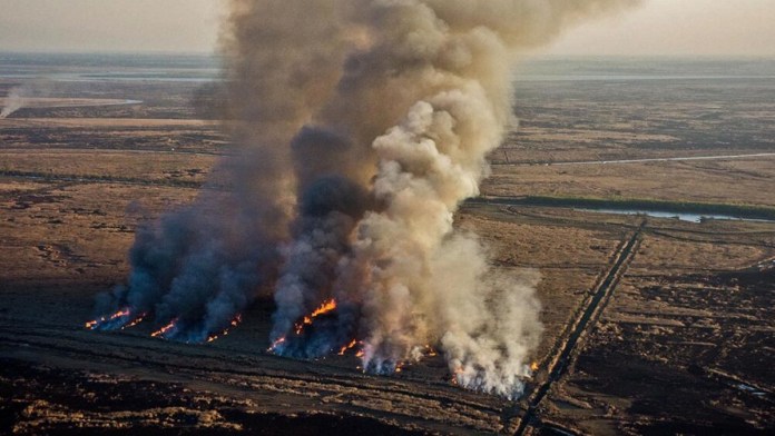 Condenan a prisión efectiva a tres apicultores por un incendio devastador en el Delta del Paraná