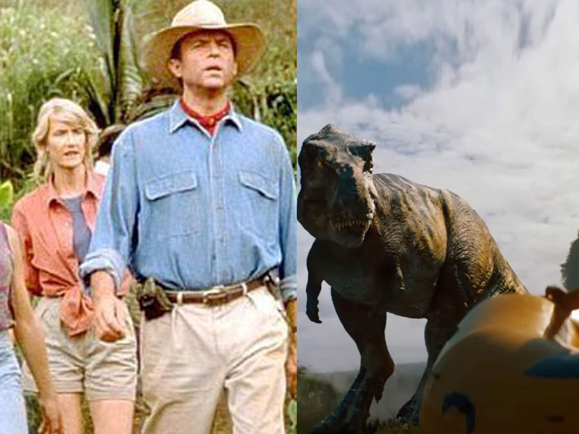 en qué orden (y dónde) ver todas las películas de la saga