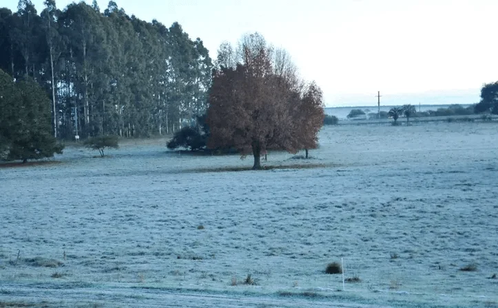 Ola polar en Entre Ríos. Ola polar en Entre Ríos