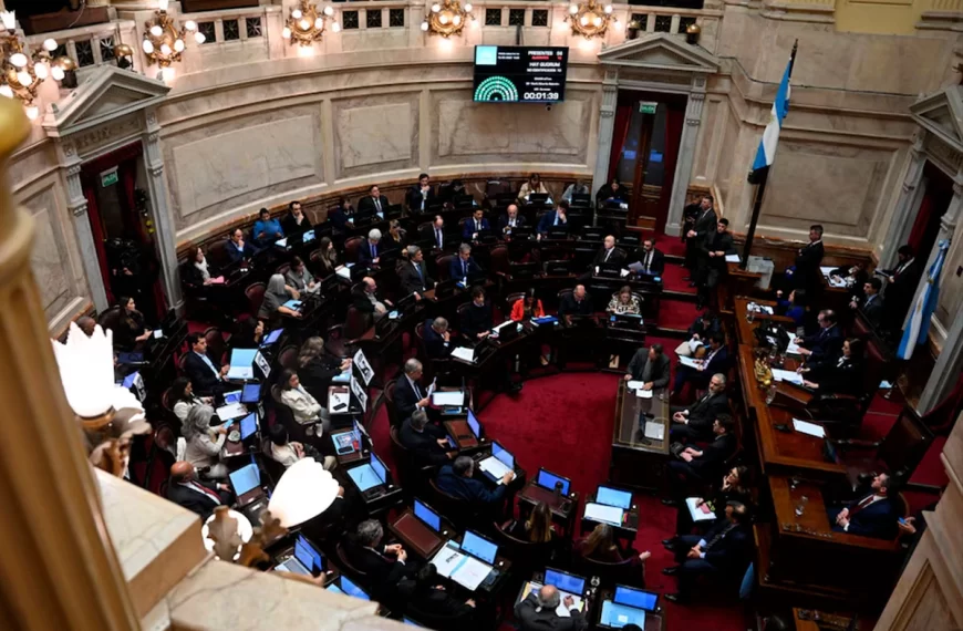 Sesión en el Senado. Foto: (Infobae).