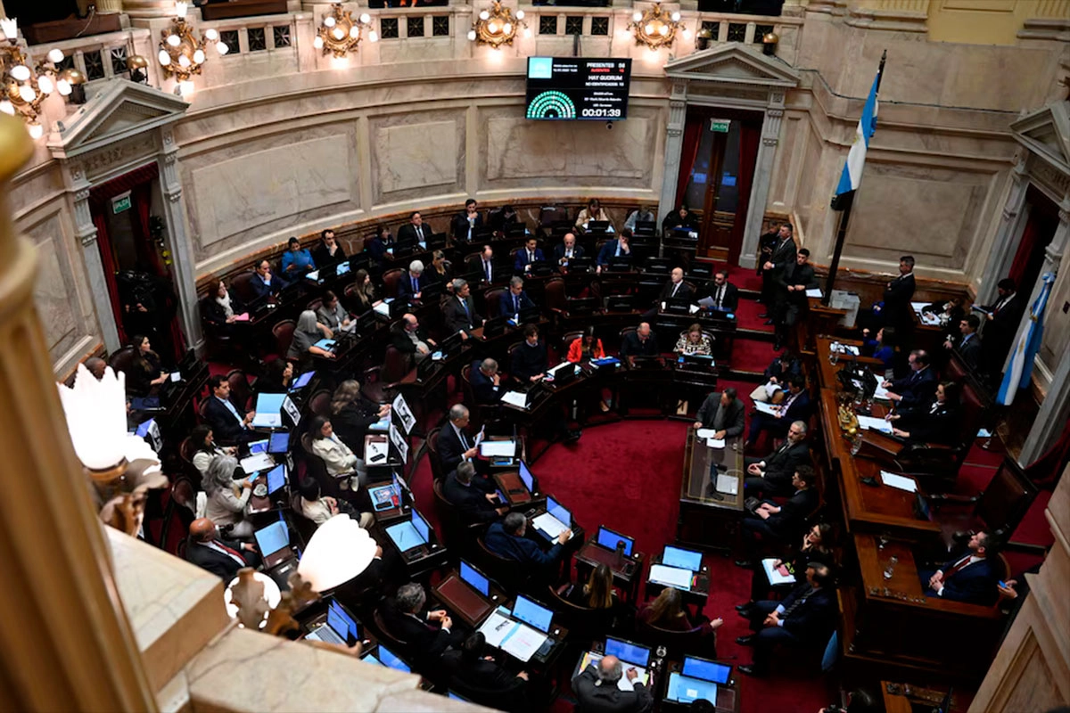 Sesión en el Senado. Foto: (Infobae).