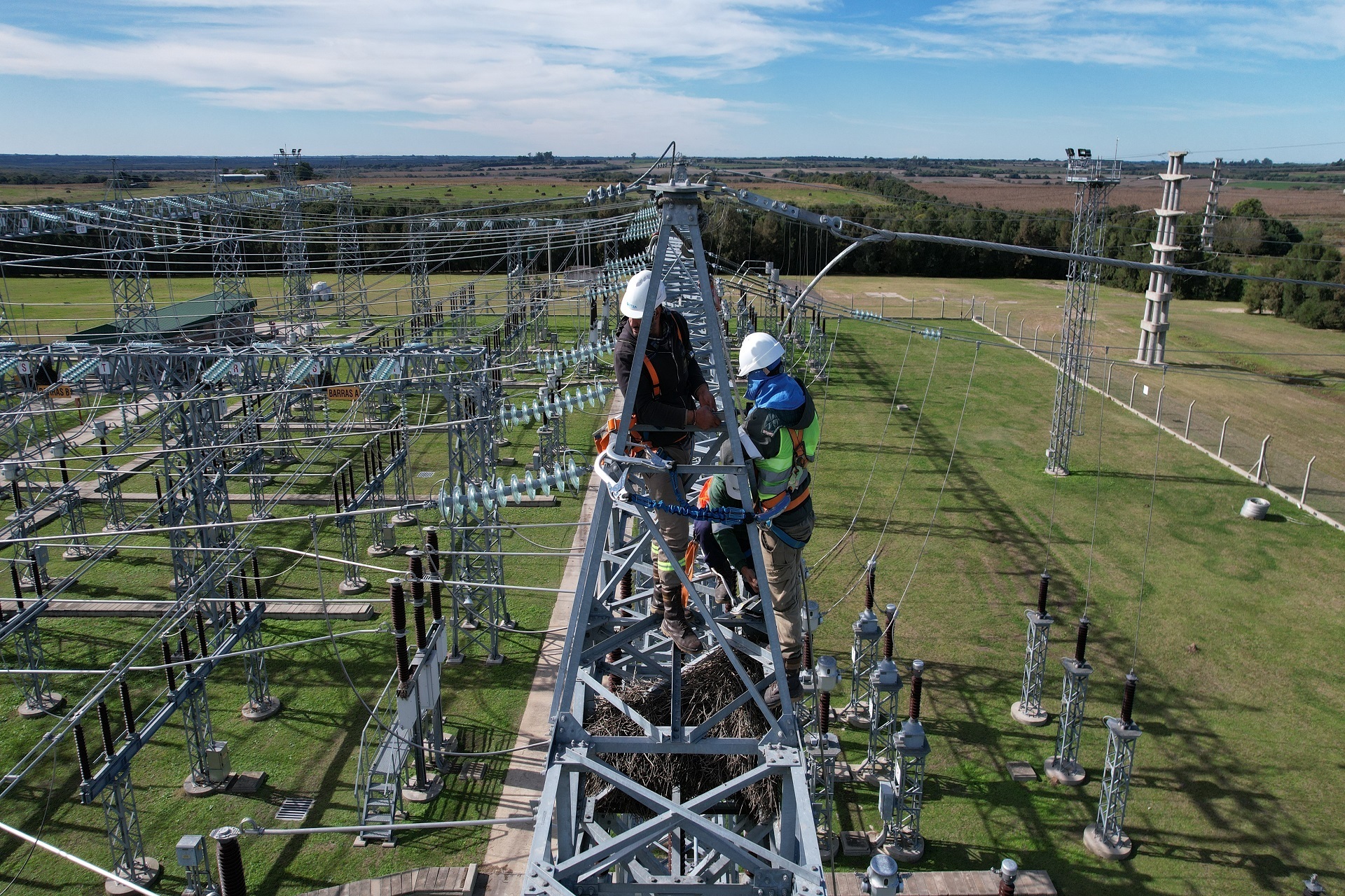 Récord histórico: Enersa lidera el crecimiento de generación renovable en Entre Ríos