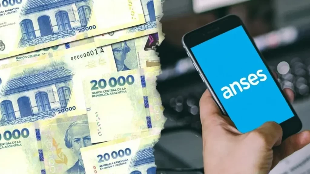 ANSES 2025