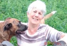 Buscan a Silvia Estela González