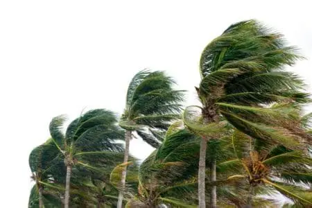 Fuerte viento
