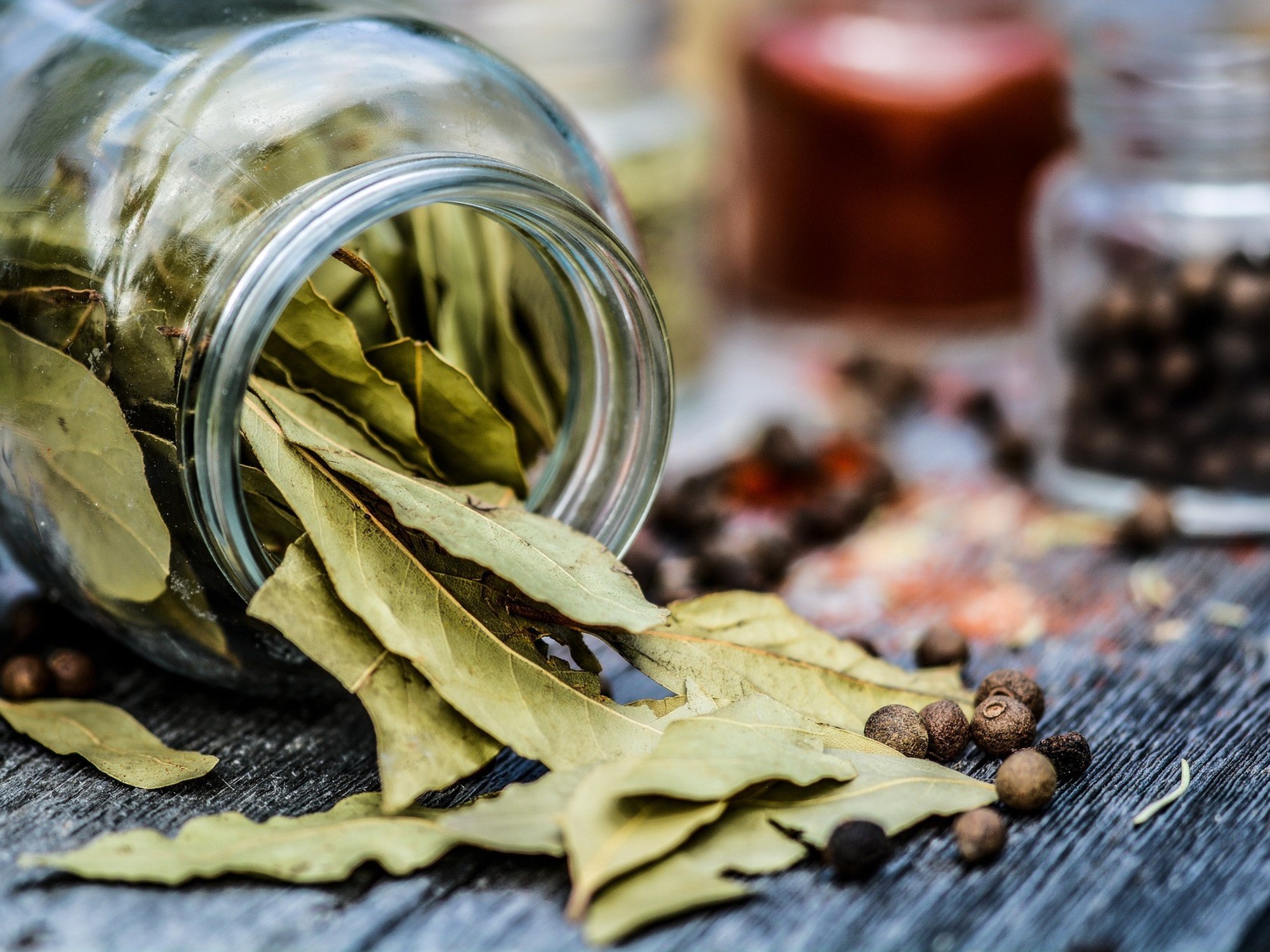 beneficios, propiedades y cuidados de esta planta para la salud