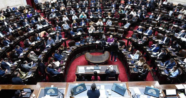 Cámara de Diputados de la Nación