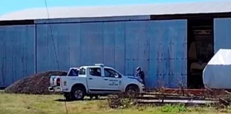 Fatal accidente laboral en zona rural. Foto: (Cristal Urdi)