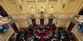 El Senado de la Nación. Foto: NA/Daniel Vides