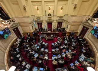 El Senado de la Nación. Foto: NA/Daniel Vides