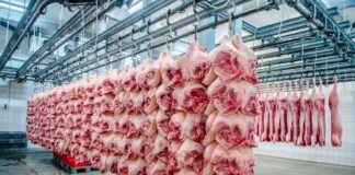Nación confirmó que las retenciones cero para la carne seguirán hasta fin de octubre