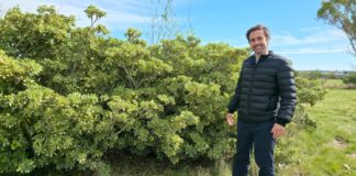 Emergencia climática, Juan Rossi.