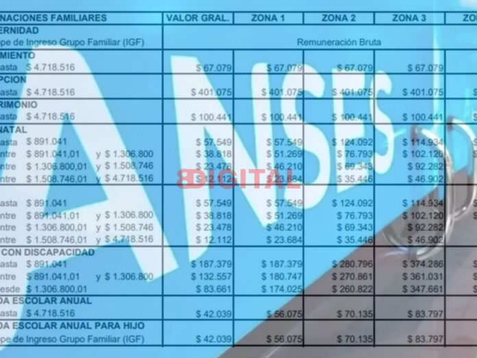 ANSES oficializó el aumento de asignaciones familiares y AUH. Elochodigital