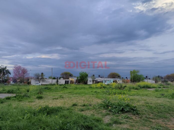 Entrada de la primavera. Foto: Elochodigital Entrada de la primavera. Foto: Elochodigital