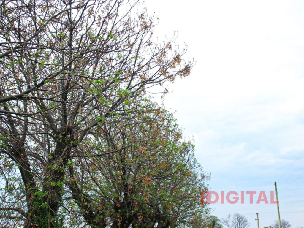 Frente frío en la provincia. Foto: Elochodigital