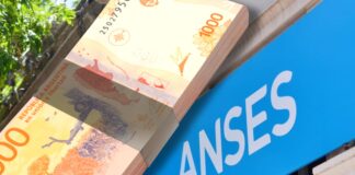 ANSES. Foto: Elochodigital