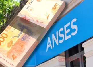 ANSES. Foto: Elochodigital
