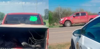 Control de tránsito en Entre Ríos