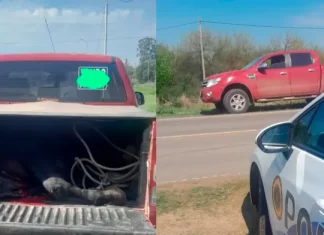Control de tránsito en Entre Ríos