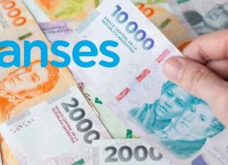 Anses