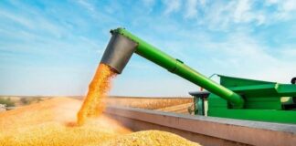 Gobierno anuncia retenciones cero para granos hasta el 31 de octubre