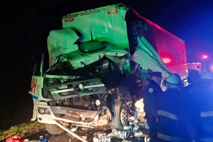 Así quedó el camión tras el accidente fatal. Foto: R2820.