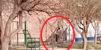 Tensión en una escuela de Mendoza