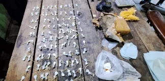 Más de 300 dosis de cocaína secuestradas en un megaoperativo. Foto: P.E.R.