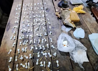 Concordia: siete detenidos y más de 300 dosis de cocaína secuestradas en un megaoperativo Más de 300 dosis de cocaína secuestradas en un megaoperativo. Foto: P.E.R.