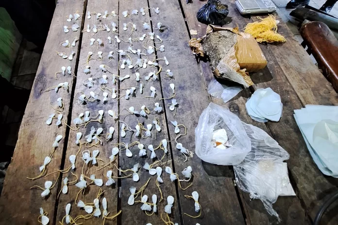 Más de 300 dosis de cocaína secuestradas en un megaoperativo. Foto: P.E.R.