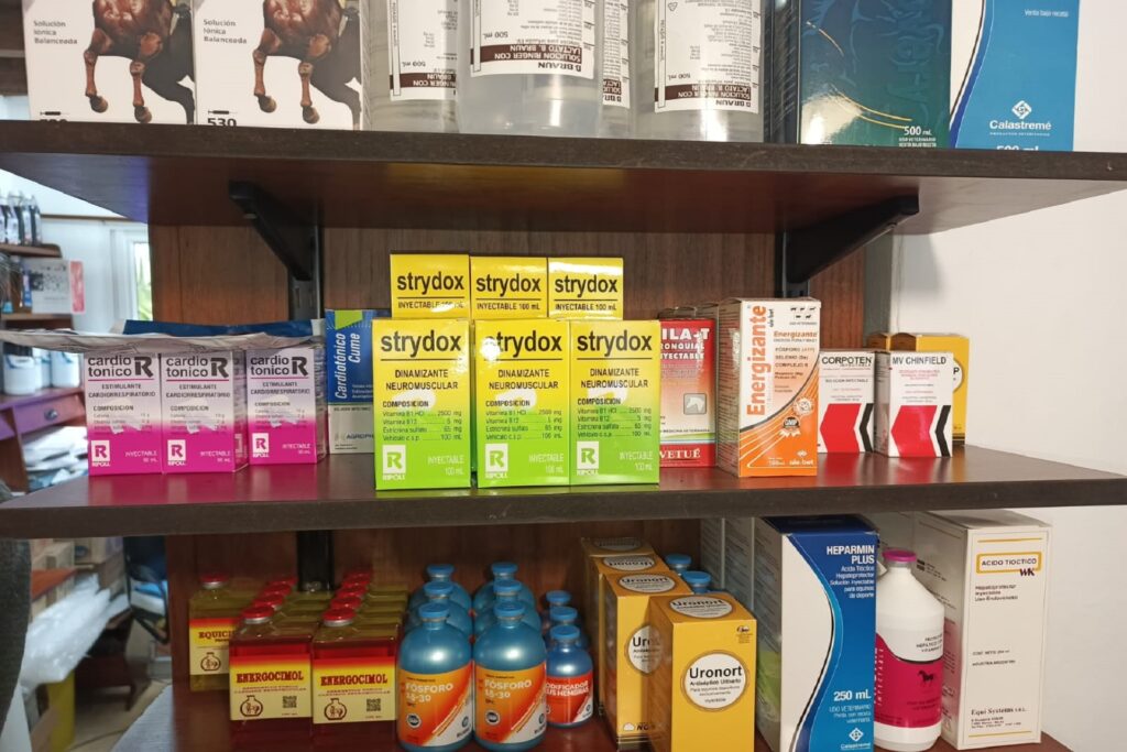 Secuestran medicamentos veterinarios. Foto: GER.