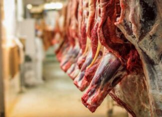 EE.UU. analiza cuadruplicar la cuota de importación de carne vacuna argentina a 80 000 toneladas