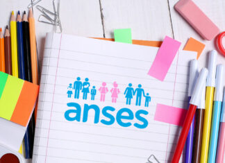 Ayuda Escolar Anual ANSES.