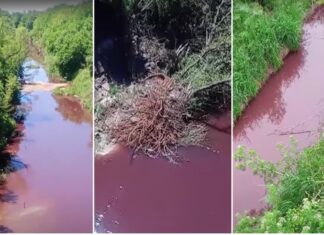 Contaminación en la cuenca del río Paraná