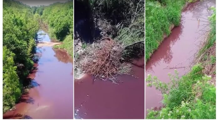 Contaminación en la cuenca del río Paraná