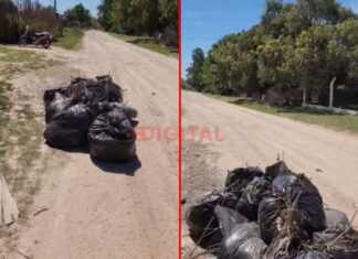 Vecinos de Colonia Avellaneda reclaman falta de limpieza en el barrio Las Lonjas Vecinos de Colonia Avellaneda reclaman falta de limpieza en el barrio Las Lonjas. Foto: Elochodigital.