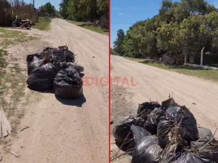 Vecinos de Colonia Avellaneda reclaman falta de limpieza en el barrio Las Lonjas. Foto: Elochodigital.