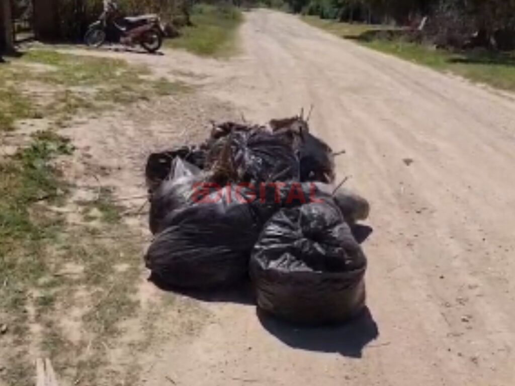 Vecinos de Colonia Avellaneda reclaman falta de limpieza en el barrio Las Lonjas. Foto: Elochodigital.