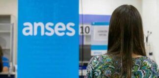 ANSES
