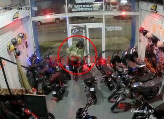 Un ladrón robó un local de motos en Paraná en solo 40 segundos. Foto: Elochodigital.