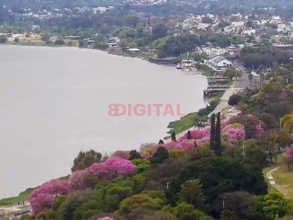 Paraná. Foto: Elochodigital