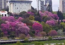 Amaneció fresco y anuncian hasta 18°C en Entre Ríos: prevén un suave aumento de temperaturas Paraná. Foto: Elochodigital