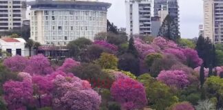 Paraná. Foto: Elochodigital