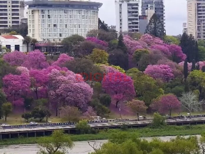 Paraná. Foto: Elochodigital