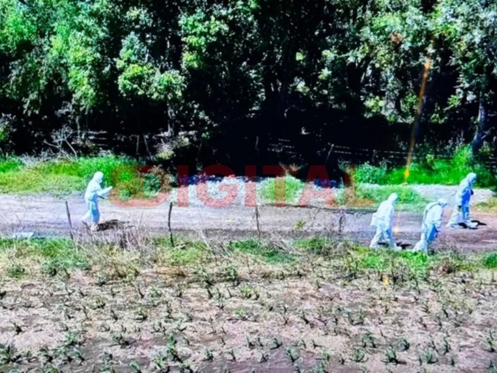 Caso Daiana Mendieta: primeras imágenes de las pericias. Foto: Elochodigital.