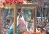 La Virgen del Rosario recorre Paraná: el circuito de la caravana y la misa central Virgen del Rosario en Paraná