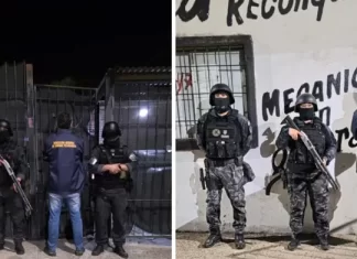 Cayó “Tavi” Celis y desarticularon su banda narco con 11 detenidos. Foto: P.E.R.