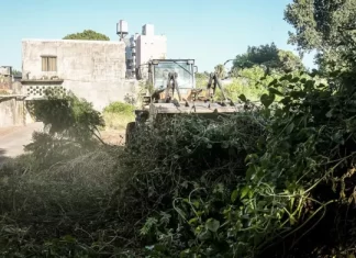 Proponen crear “plazas de bolsillo” en Paraná para recuperar terrenos baldíos y convertirlos en espacios verdes Proponen crear “plazas de bolsillo” en Paraná